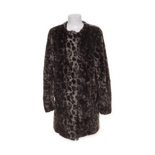 Alexandra collection - alexandra,