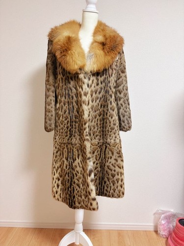 Leopard katze wildkatze - leopard,