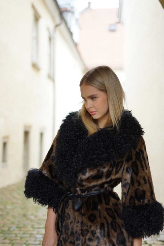 Luxuriöser leopard print - luxuriöser,